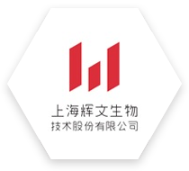 辉文